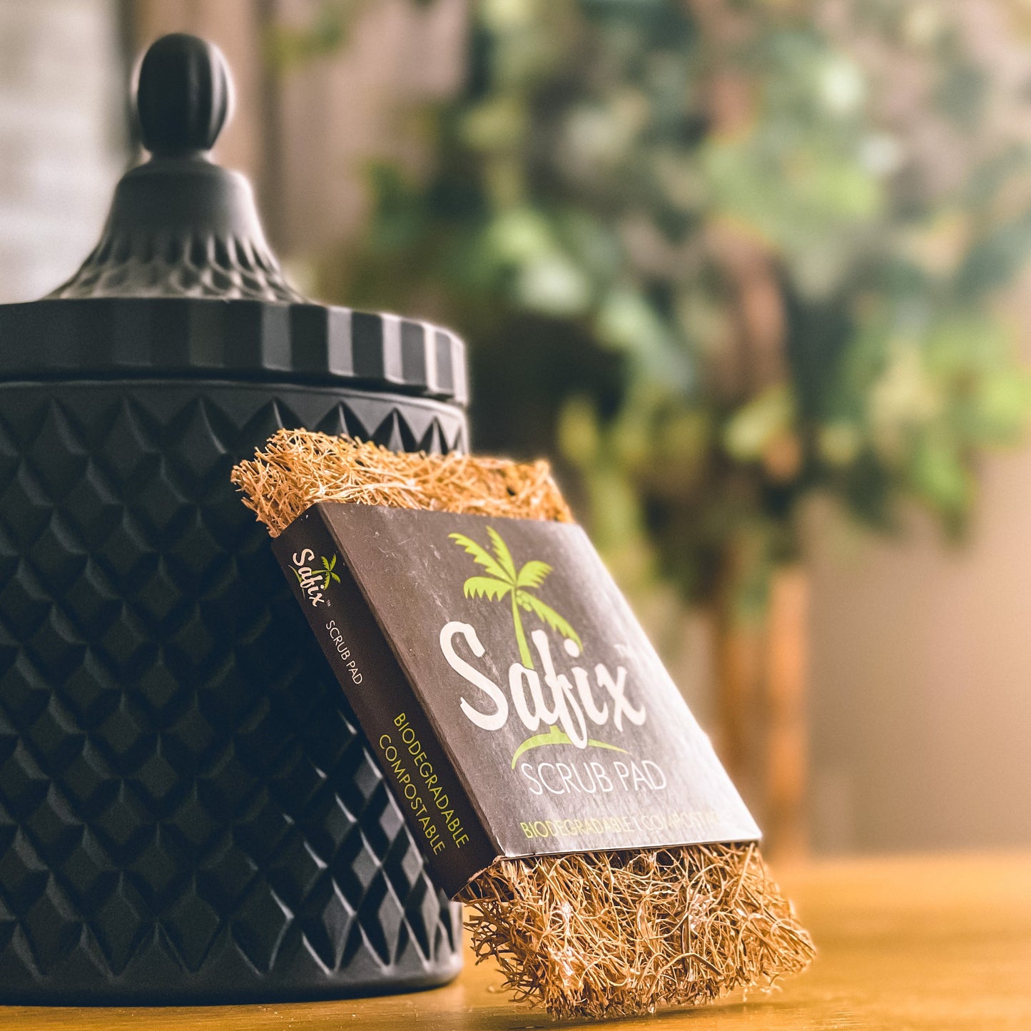 Safix Scrub Pad (Large)